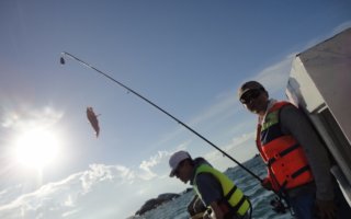 Agro Beach Resort - Fishing