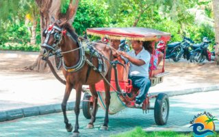 Agro Beach Resort - Horse Cart Ride