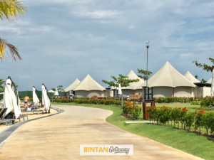 The Canopi Resort Bintan - Resort Walkway
