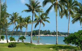 Grand Lagoi Village Resort - Beach and Coconut Trees